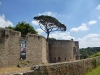 p1050979