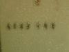 p1000776