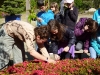 maulevrier_02-05-2012-017