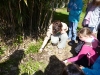 maulevrier_02-05-2012-020