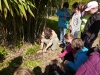 maulevrier_02-05-2012-021