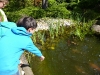 maulevrier_02-05-2012-028