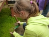maulevrier_02-05-2012-038