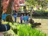 maulevrier_02-05-2012-055